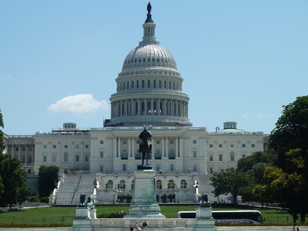 Government